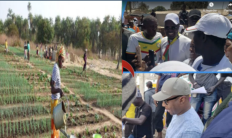 Campagne électorale Le promesse ferme de Khalifa Sall aux maraîchers