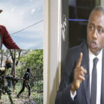 « L’UN DES PROJETS DANS LE PROJET DE PASTEF EST LA CONTINUATION DE... » 2 dia-mfdc_755.jpg