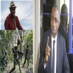 « L’UN DES PROJETS DANS LE PROJET DE PASTEF EST LA CONTINUATION DE... » 3 dia-mfdc_850.jpg