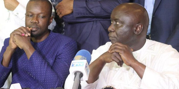 LES GRANDES LIGNES DU PROJET 1 idy-sonko_755.jpg