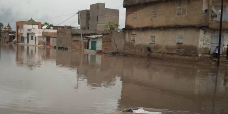 DES QUARTIERS DE KAOLACK SOUS LES EAUX 1 kaolack_755.jpg