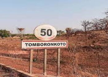 tomboronkoto_755.jpg