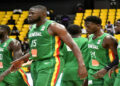 basket_755-4.jpg