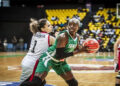 basket_755.jpg