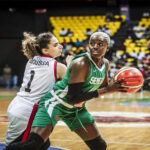 LES LIONNES ÉLIMINENT L’ÉGYPTE (71– 60) 2 basket_755.jpg