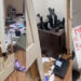 ONZE (11) PERSONNES RECHERCHÉES PAR LA JUSTICE 8 harlem_755.jpg