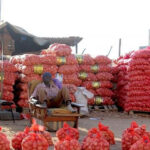 LA GROSSE INQUIÉTUDE AUTOUR DE L’OIGNON 2 oignon_755-2.jpg