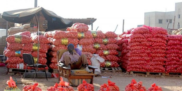 LA GROSSE INQUIÉTUDE AUTOUR DE L’OIGNON 1 oignon_755-2.jpg