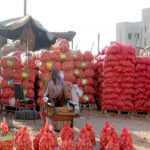 LA GROSSE INQUIÉTUDE AUTOUR DE L’OIGNON 3 oignon_850-2.jpg