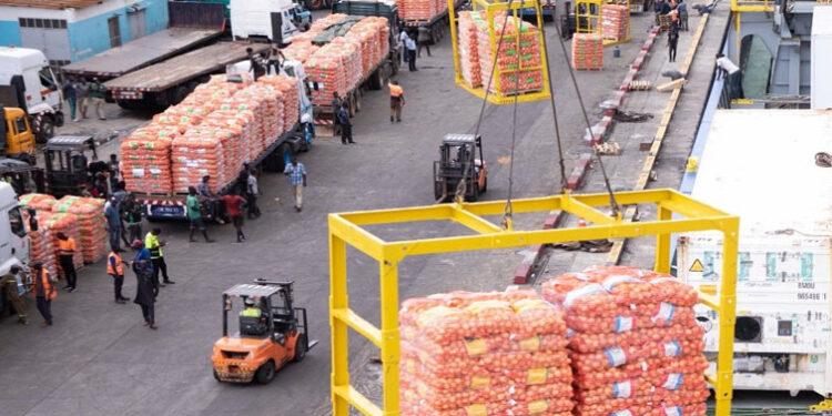 7000 TONNES DÉBARQUENT AU PORT DE DAKAR 1 oignon_port_755.jpg