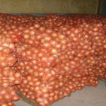 L’ARM ANNONCE LA RÉCEPTION DE 2400 SUR 10 000 TONNES ATTENDUES 2 oignons_755.jpg