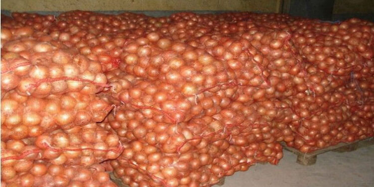 L’ARM ANNONCE LA RÉCEPTION DE 2400 SUR 10 000 TONNES ATTENDUES 1 oignons_755.jpg