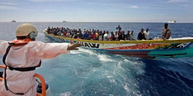 LE BILAN GRIMPE 1 pirogue_755-4.jpg