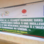 UN DÉBUT DE MISE EN ŒUVRE MARQUANT 10 puma_755.jpg