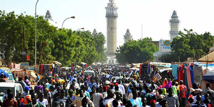 touba_755-3.jpg