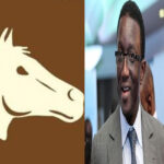 L’ÉCURIE BENNO ET SON CHEVAL 3 amadou_ba_850.jpg