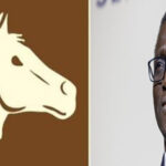 L’ÉCURIE BENNO ET SON CHEVAL 2 amadouy_755.jpg