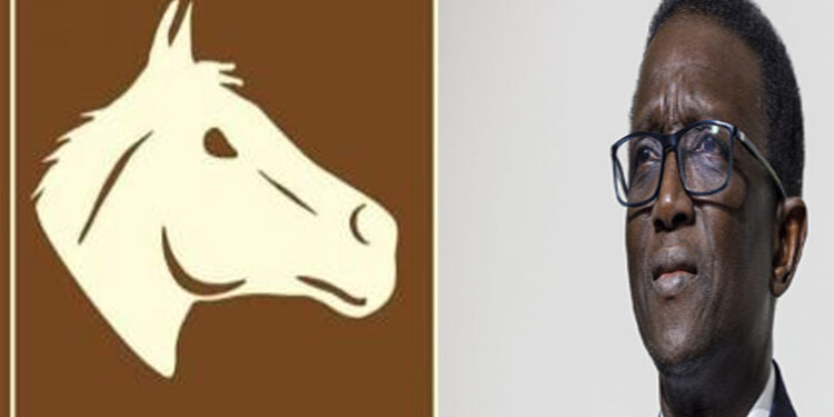 L’ÉCURIE BENNO ET SON CHEVAL 1 amadouy_755.jpg