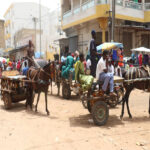 VIDÉO-LES BONNES AFFAIRES DES CHARRETIERS 9 charette_850.jpg