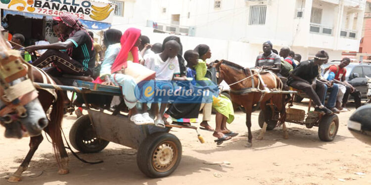 VIDÉO-LES BONNES AFFAIRES DES CHARRETIERS 1 charette_tag_2_755.jpg