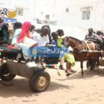 VIDÉO-LES BONNES AFFAIRES DES CHARRETIERS 10 charette_tag_2_755.jpg