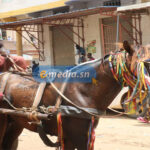 VIDÉO-LES BONNES AFFAIRES DES CHARRETIERS 11 charette_tag_3_755.jpg