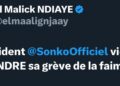 el_malick.jpg