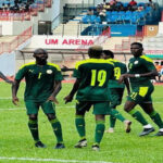 LES LIONS EN QUART DE FINALE 2 lions_755-2.jpg