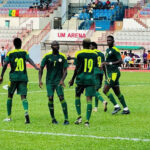 LES LIONS EN QUART DE FINALE 3 lions_850-2.jpg