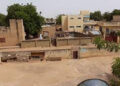 lobaaly_755.jpg