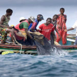 LES BONNES PRATIQUES QUE PRÔNENT LES ACTEURS DE LA PÊCHE 2 pe_che_755-2.jpg