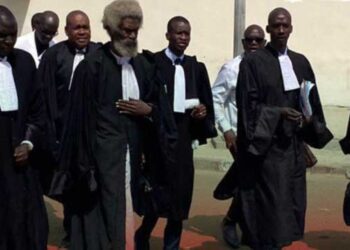 Fuite de la lettre sur l’état de santé de Sonko : Les avocats de l’opposant répondent au procureur