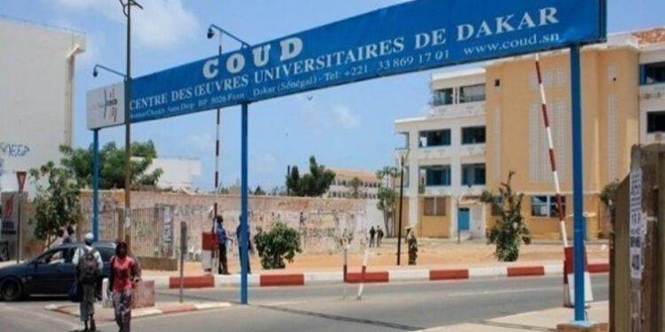 POURQUOI LES AGENTS DU COUD OPPOSENT UN NIET CATÉGORIQUE 1 coud_755-3.jpg