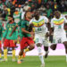LES LIONS DU SÉNÉGAL DOMPTENT CEUX DU CAMEROUN (1-0) 7 LES LIONS DU SÉNÉGAL DOMPTENT CEUX DU CAMEROUN (1-0)