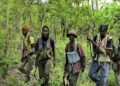 mfdc_755.jpg