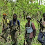 ACCROCHAGES ENTRE L'ARMÉE ET LE MFDC DANS LE BENGHAZI ET LE DIAKINE DANS LE BIGNONA 2 mfdc_755.jpg