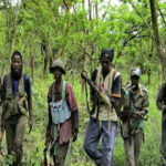 ACCROCHAGES ENTRE L'ARMÉE ET LE MFDC DANS LE BENGHAZI ET LE DIAKINE DANS LE BIGNONA 3 mfdc_850.jpg