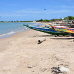 LA PLAGE DE POINTE SARÈNE FAIT PARLER D’ELLE 2 plage_755.jpg