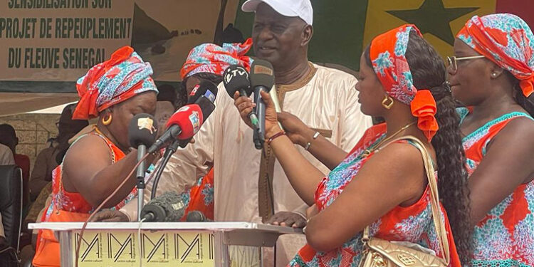 Repeuplement du Fleuve Sénégal : Moussa Sow annonce la construction des boutiques de poissons le long de la valée