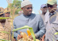Nouveau ministre de l&rsquo;agriculture : Samba Ndiobène Kâ entame une tournée dans le bassin arachidier
