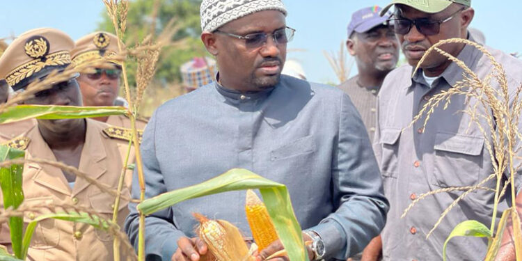 Nouveau ministre de l’agriculture : Samba Ndiobène Kâ entame une tournée dans le bassin arachidier