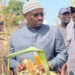 Nouveau ministre de l’agriculture : Samba Ndiobène Kâ entame une tournée dans le bassin arachidier