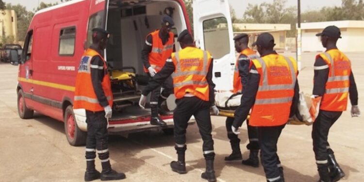 Bignona : une découverte macabre dans les rizières peut en cacher une autre 1 Bignona : une découverte macabre dans les rizières peut en cacher une autre