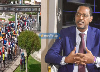« Nous avons laissé la politique trop s’exprimer à l’université… » (Mame Boye Diao)
