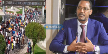 « Nous avons laissé la politique trop s’exprimer à l’université… » (Mame Boye Diao)