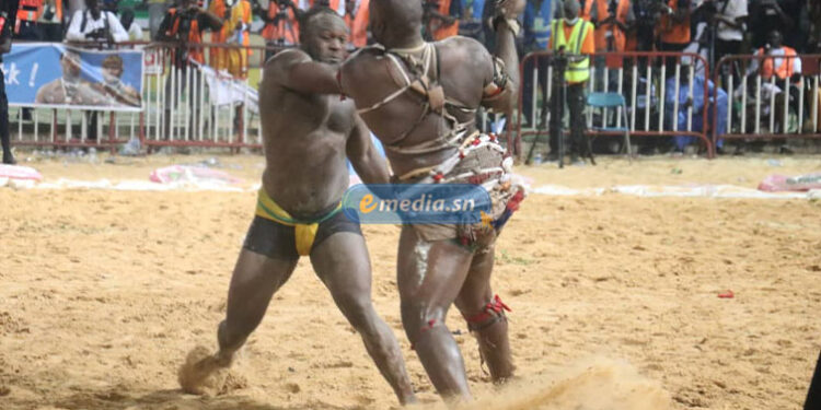 Arène nationale : Modou Lo inflige 22 coups à Ama Baldé et conserve son titre de roi des arènes 1 Ama Baldé Vs Modou Lo : le film du combat