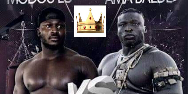 Modou Lô vs Ama Baldé : Au nom de la couronne ! 1 Modou Lô vs Ama Baldé : Au nom de la couronne !