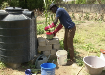 El Hadji Malick Sagne : l’ingénieur agronome qui transforme le cactus en biogaz sans épine 