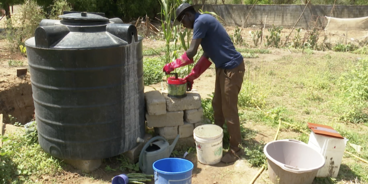 El Hadji Malick Sagne : l’ingénieur agronome qui transforme le cactus en biogaz sans épine 