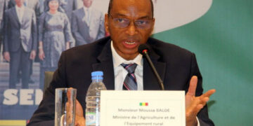 État de droit et bonne gouvernance : Le RUR recadre l’association Demain Sénégal 